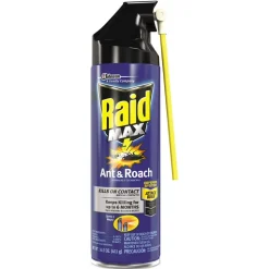 Raid 14.5 oz. Aerosol Spray Ant and Roach Killer - Unscented
