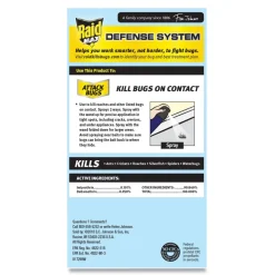 Raid 14.5 oz. Aerosol Spray Ant and Roach Killer - Unscented