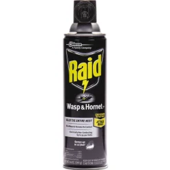 Raid 14 oz Wasp and Hornet Killer Aerosol Spray