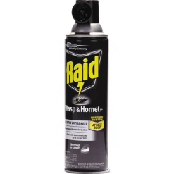 Raid 14 oz Wasp and Hornet Killer Aerosol Spray