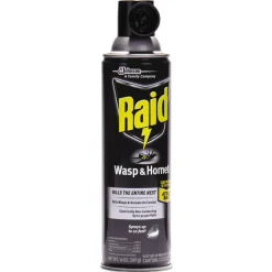 Raid 14 oz Wasp and Hornet Killer Aerosol Spray