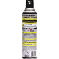 Raid 14 oz Wasp and Hornet Killer Aerosol Spray