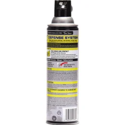 Raid 14-Ounce Wasp and Hornet Killer Spray (12/Carton)
