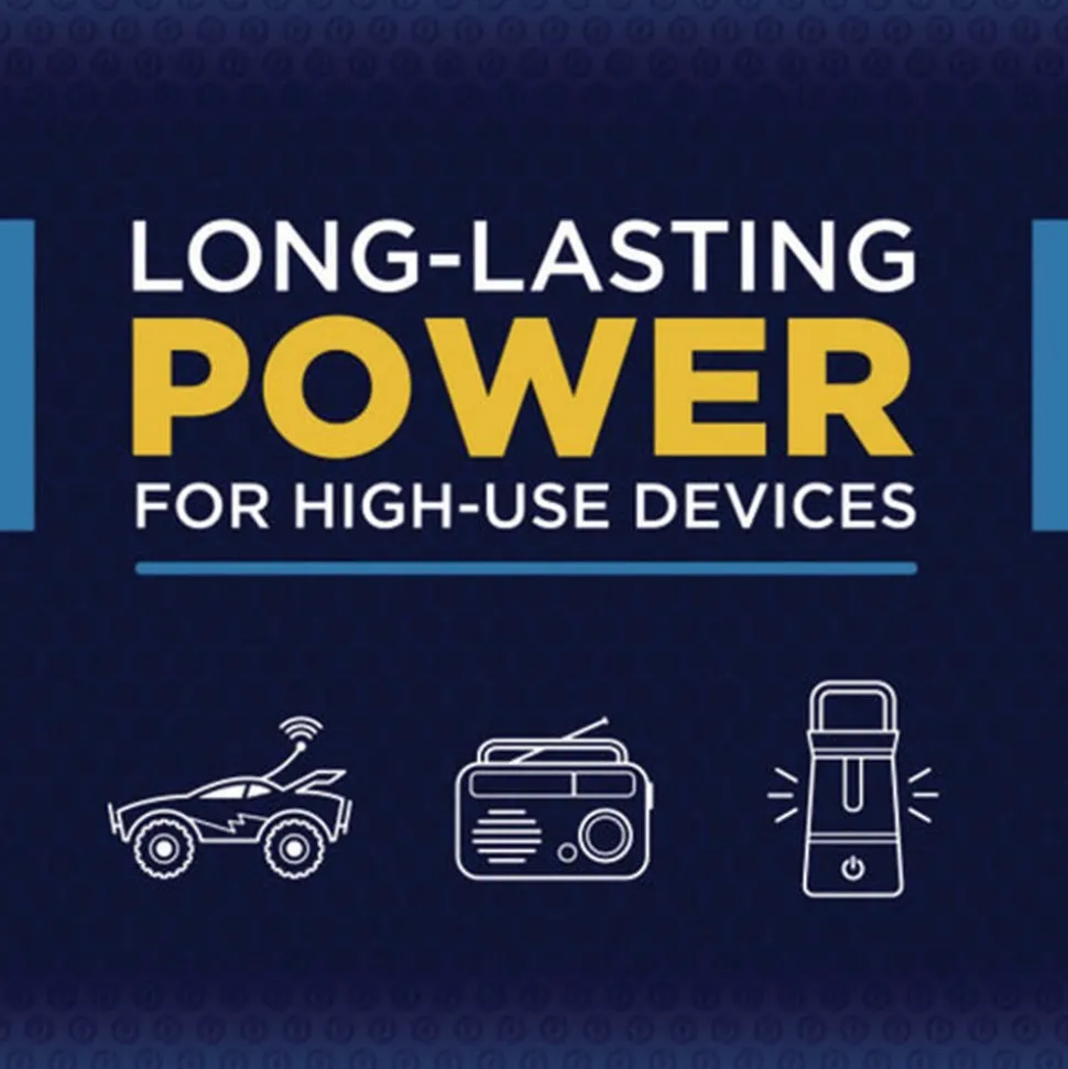 Rayovac Alkaline D Batteries (12/Pack)