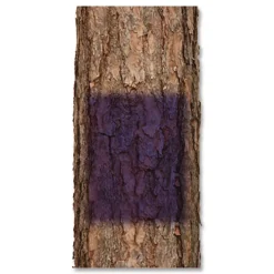 Rust-Oleum 12 oz. Aerosol Can Specialty No Hunting Spray Paint - Purple