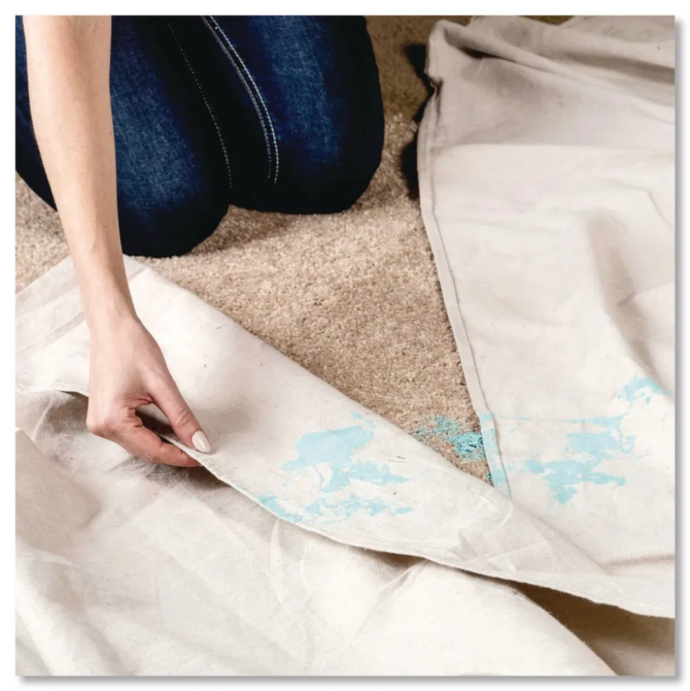 Rust-Oleum Carpet Stain Remover Plus Deodorizer Lemon Scent 1 gal Jug (4/Carton)