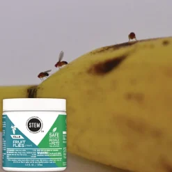 SC Johnson STEM Fruit Flies Trap 5.4 oz Jar 8/Carton