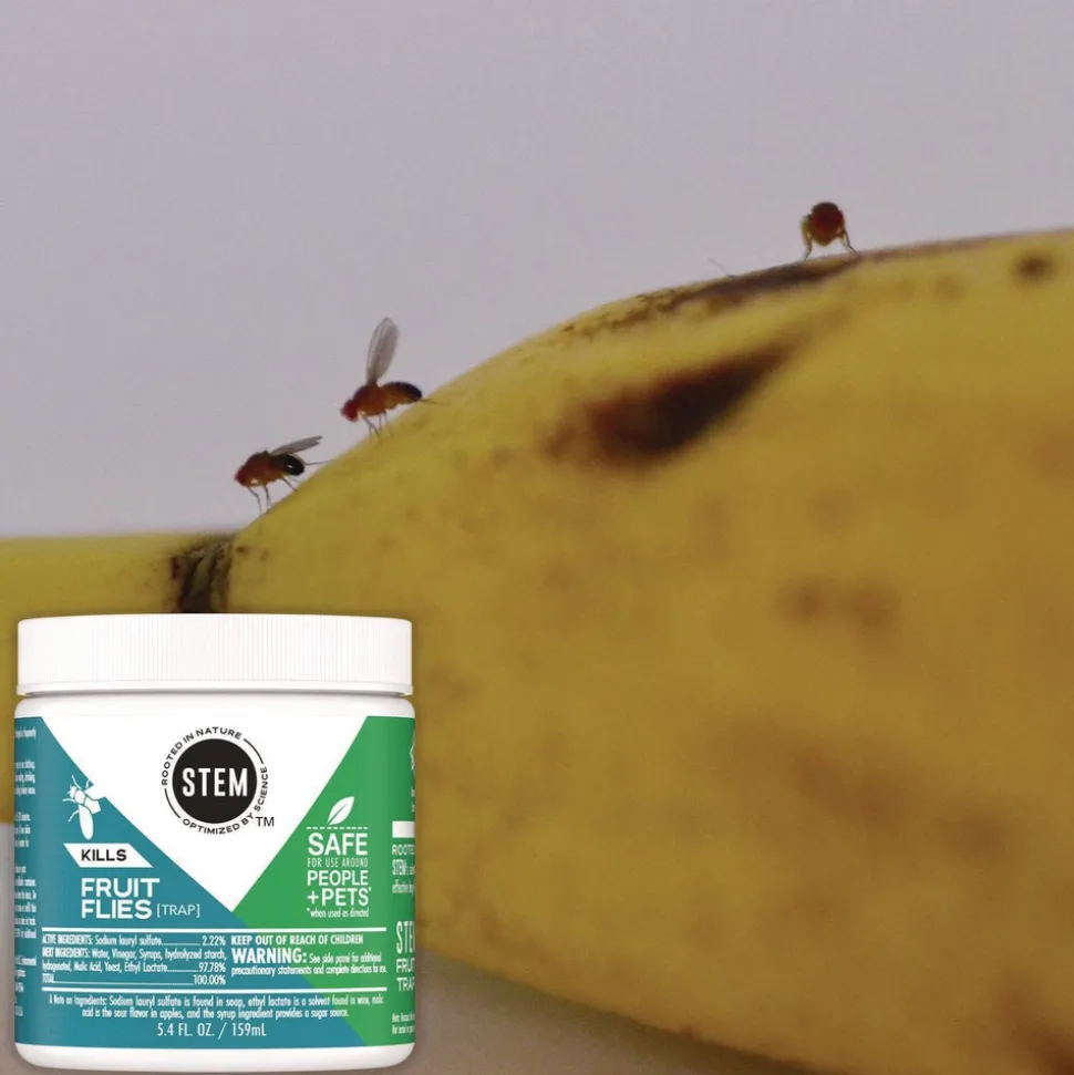 SC Johnson STEM Fruit Flies Trap 5.4 oz Jar 8/Carton