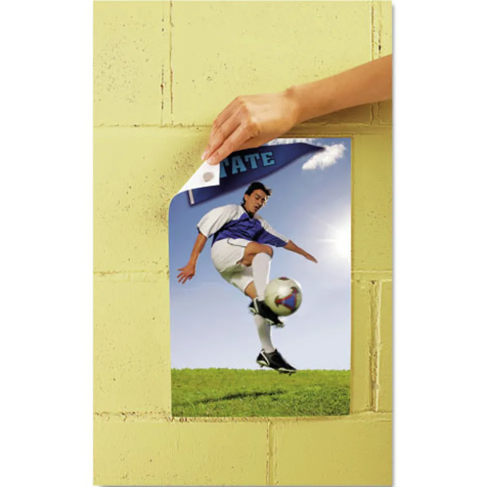 Scotch 2 oz Removable Adhesive Putty (1/Pack)