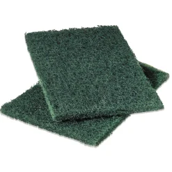 Scotch-Brite PROFESSIONAL 6 x 9 Heavy-Duty Scouring Pad - Green (1-Dozen)