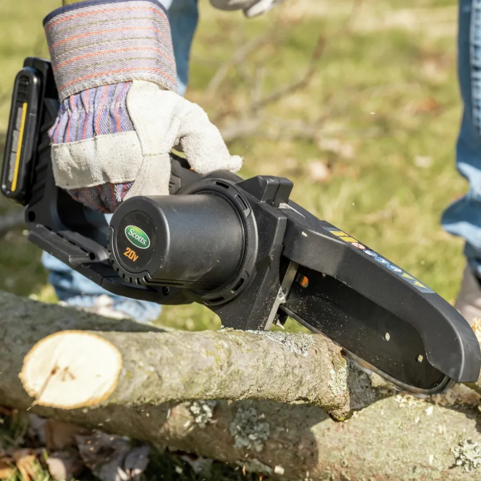 Scott's 20V Lithium-Ion 6 in. Cordless Hacket Chainsaw Kit (2 Ah)