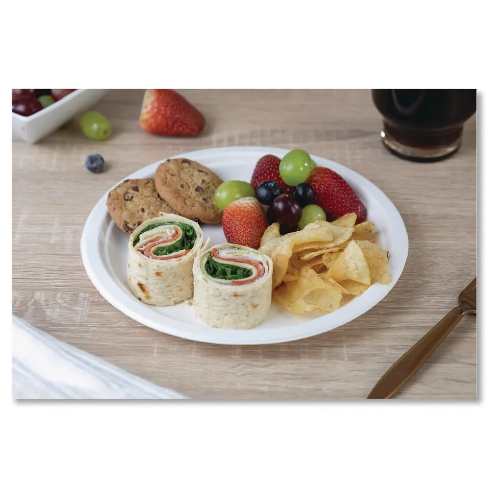 SCT ChampWare Molded Fiber Tableware, Molded Fiber Plate, 9-in dia, White, 125 Plates/Sleeve, 4 Sleeves/Carton