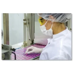 SemperCare Stretch Vinyl Examination Gloves (1000/Carton)