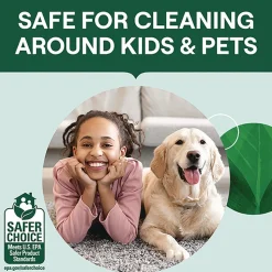 Seventh Generation 24 oz. Bottle Toilet Bowl Cleaner - Fresh Mint Scent (4/Carton)