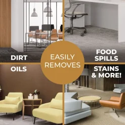 Simple Green 1 Gallon Bottle Unscented Clean Building Carpet Cleaner Concentrate