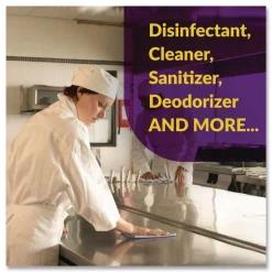 Simple Green 5 Gallon d Pro 5 Disinfectant - Unscented