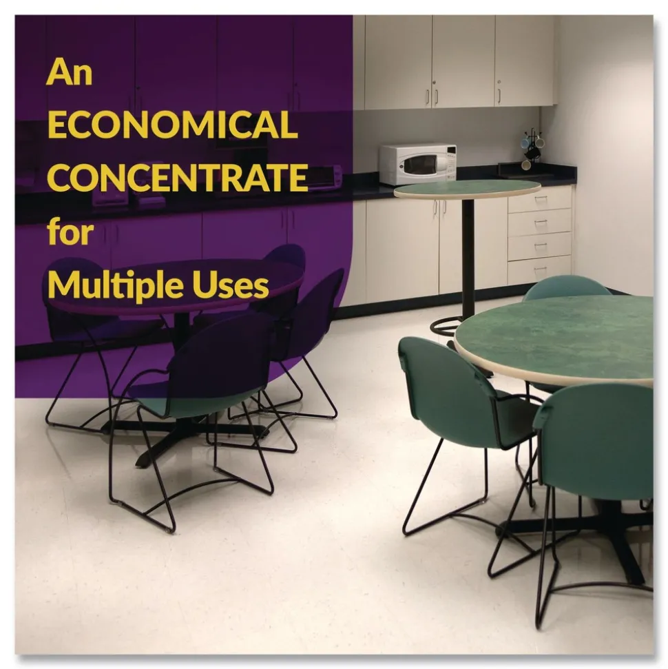 Simple Green 5 Gallon d Pro 5 Disinfectant - Unscented