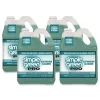 Simple Green 1 Gallon Pro Bathroom Cleaner (4/Carton)