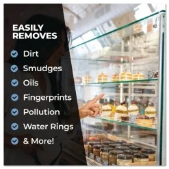 Simple Green 1 Gallon Pro Glass Cleaner (4/Carton)