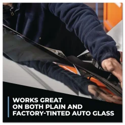 Simple Green 1 Gallon Pro Glass Cleaner (4/Carton)