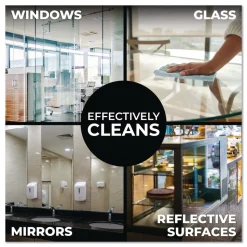 Simple Green 32 oz Ready-To-Use Pro Glass Cleaner (12/Carton)