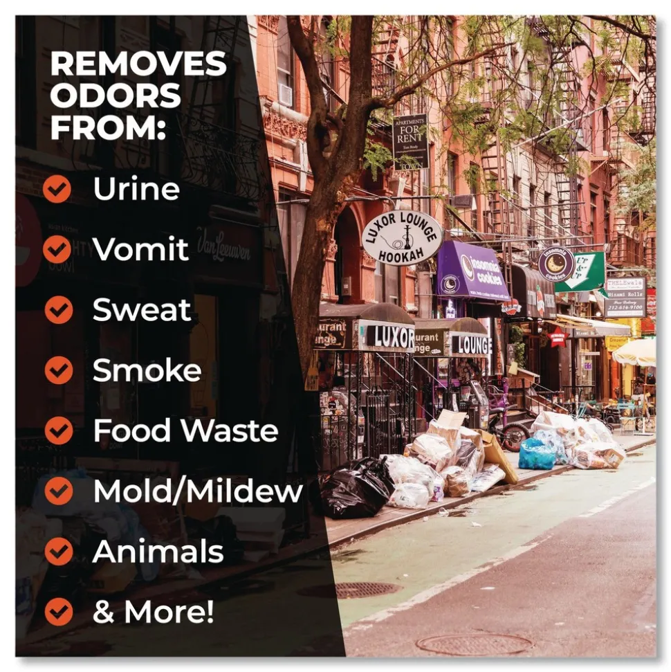 Simple Green 32 oz Ready-To-Use Pro Odor Control - Herbal (12/Carton)