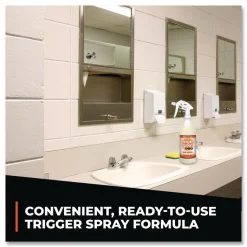 Simple Green 32 oz Ready-To-Use Pro Odor Control - Herbal (12/Carton)