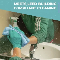 Simple Green Clean Building 1-Gallon Glass Cleaner Concentrate - Unscented (2/Carton)