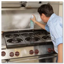 Simple Green Crystal 20 oz Aerosol Spray Foaming Industrial Cleaner and Degreaser (12/Carton)