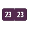 Smead 0.5 in. x 1 in. Yearly End Tab 23 File Folder Labels - Purple (250/Pack)