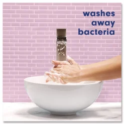 Softsoap Liquid Hand Soap Refills - Coconut and Hibiscus (6/Carton)