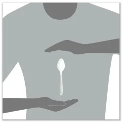 SOLO Impress Heavyweight Full-Length Polystyrene Teaspoon - White (100/Box, 10 Boxes/Carton)