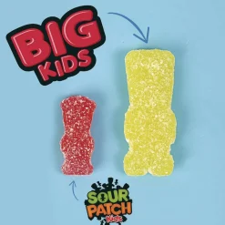 Sour Patch Grab-and-Go Fruit Flavored Candy (240 Pieces/Box)