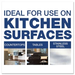 Spic and Span 1 Gallon Concentrated Disinfecting All-Purpose Spray and Glass Cleaner (2/Carton)