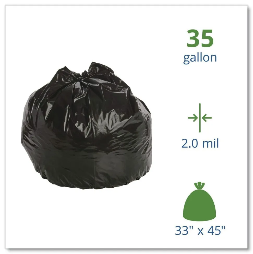 Stout by Envision 33 in. x 45 in. 2 mil. 35 Gallon Insect-Repellent Trash Bags - Black (80/Box)
