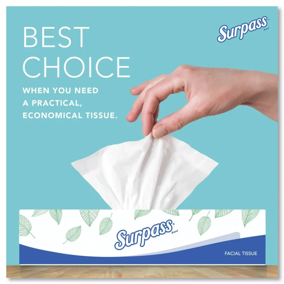 Surpass 2-Ply Facial Tissue for Business - White (125 Sheets/Box, 60 Boxes/Carton)