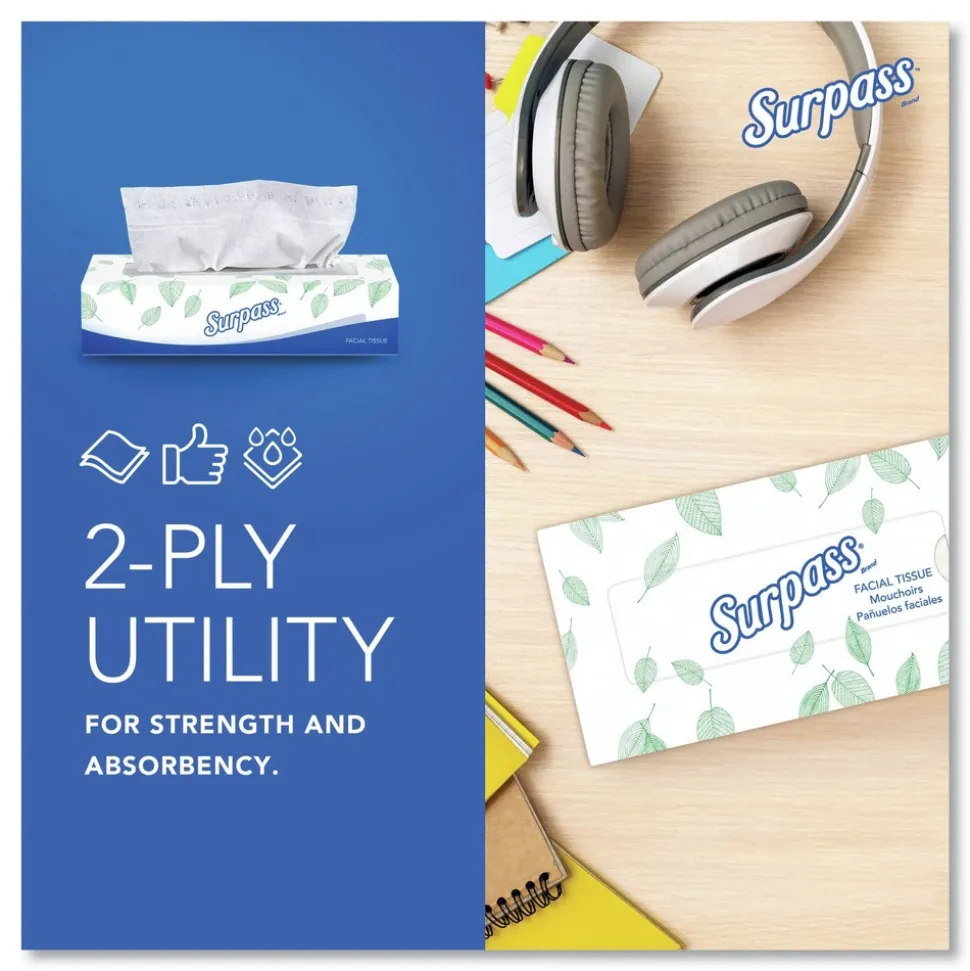 Surpass 2-Ply Facial Tissue for Business - White (125 Sheets/Box, 60 Boxes/Carton)
