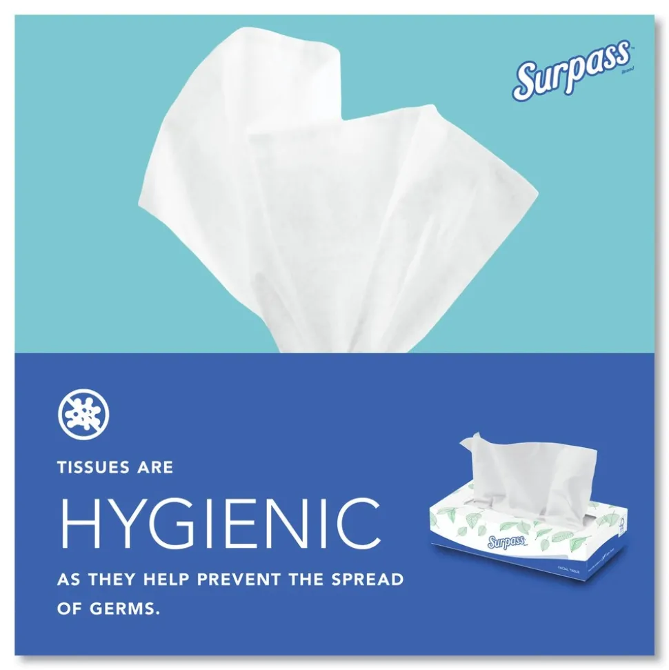 Surpass 2-Ply Facial Tissue for Business - White (125 Sheets/Box, 60 Boxes/Carton)