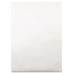 Survivor 12 in. x 16 in. No. 15-1/2 Heavyweight 18 lbs. Tyvek Open End Expansion Mailers - White (100/Carton)