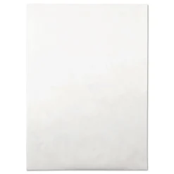 Survivor 10 in. x 13 in. No. 13-1/2 Lightweight 14 lbs. Tyvek Open End Expansion Mailers - White (100/Carton)