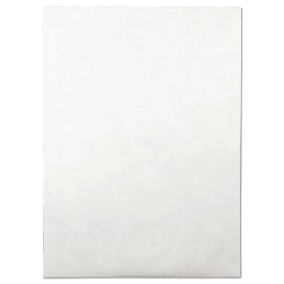 Survivor 10 in. x 13 in. No. 13-1/2 Lightweight 14 lbs. Tyvek Open End Expansion Mailers - White (100/Carton)