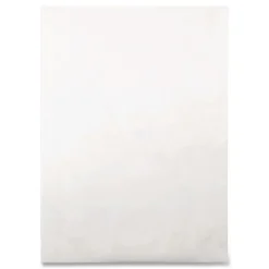 Survivor Tyvek 10 x 13 18 lb. Heavyweight Square Flap Open End Expansion Mailers - White (100/Carton)