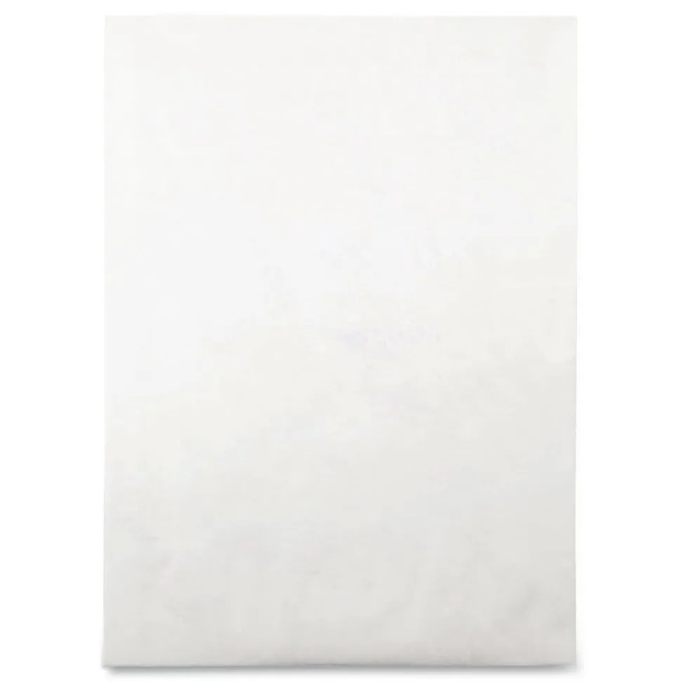 Survivor Tyvek 10 x 13 18 lb. Heavyweight Square Flap Open End Expansion Mailers - White (100/Carton)