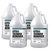 Tarn-X PRO 1 Gallon Bottle Tarnish Remover (4/Carton)