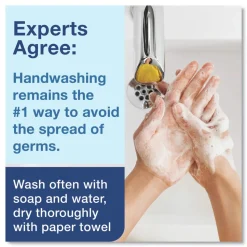 Tork 401815 1L Unscented Premium Antibacterial Foam Soap (6/Carton)