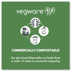 Vegware 4.6 in. x 3 in. 16 oz. Compostable Plastic Round Deli Pots - Clear (500/Carton)