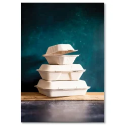 Vegware 5 in. x 9 in. x 2 in. Nourish Molded Fiber Compostable Sugarcane 3-Compartment Takeout Containers - White (200/Carton)