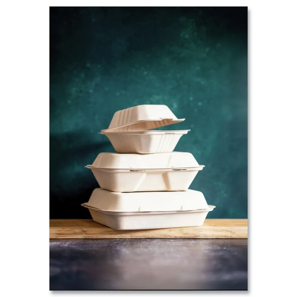 Vegware 9 x 9 x 3 Nourish Molded Compostable Sugarcane Fiber Takeout Containers - White (200/Carton)