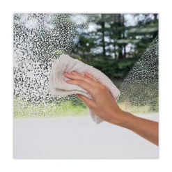 WEIMAN 19 oz. Aerosol Spray Can Foaming Glass Cleaner