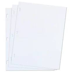 Wilson Jones 11 x 8.5 Loose Ledger Sheets for Corporation and Minute Book - White (100/Box)